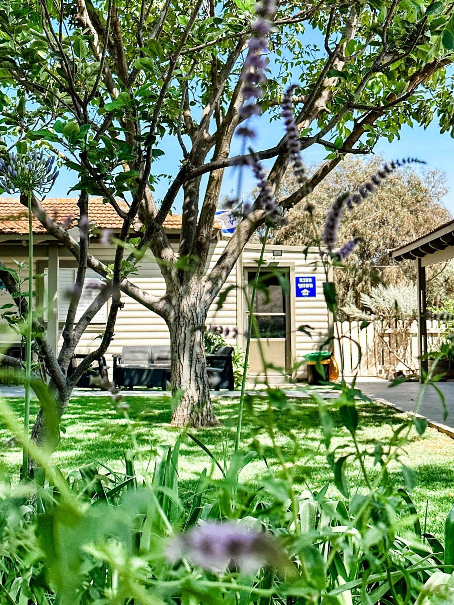 Hotel Etzel Tami Hospitality à Neot Golan Extérieur photo